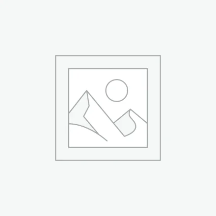 Reverse Withdrawal Payment